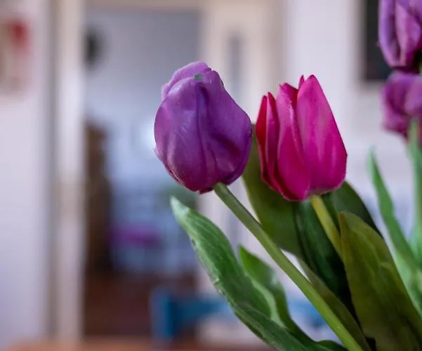 Casa Sofia Apartment *