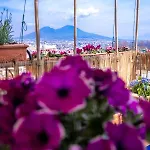 Casa Sofia Daire *