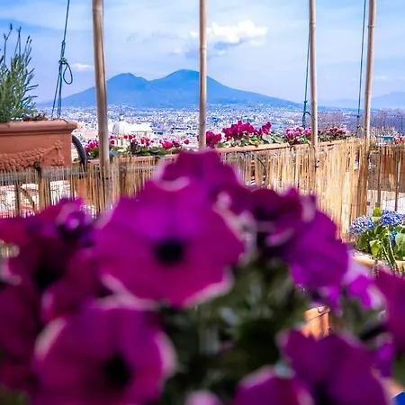 Casa Sofia Appartement *