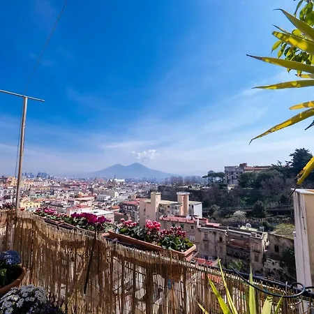 Casa Sofia
